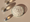 Image to render