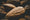Image to render
