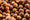 Image to render