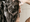 Image to render