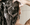 Image to render