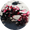 L’algue rouge