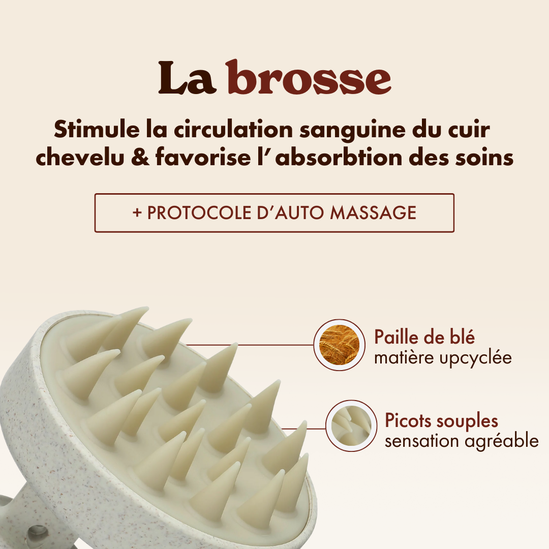 Coffret FORTIFIANT • Rituel Anti-chute, force et vitalité - Maison Hädenn x Sylvie Lefranc-maison hädenn  image-10
