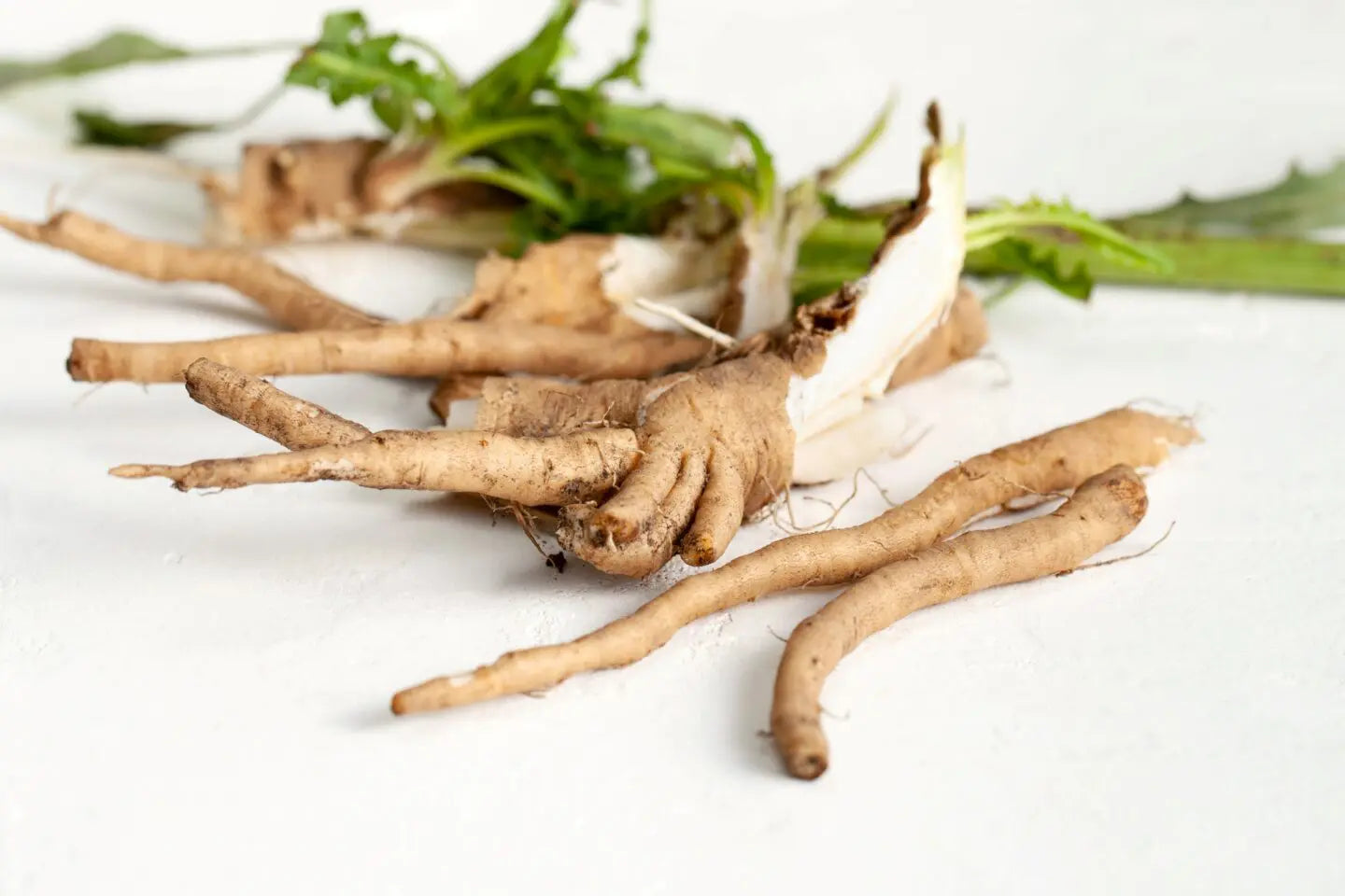 Prébiotiques (Inuline)