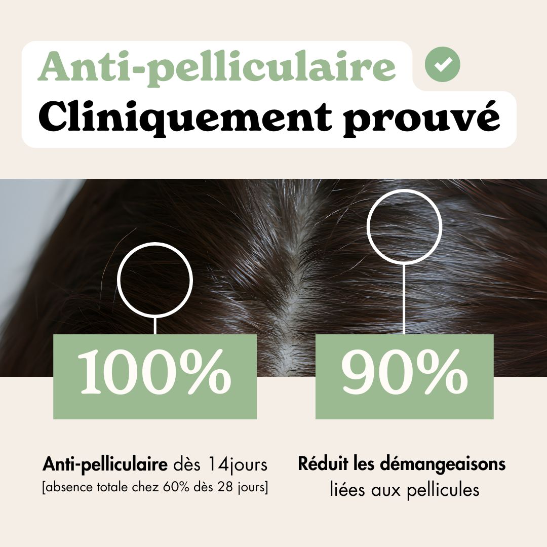Shampoing PURIFIANT • [Anti-pelliculaire, rééquilibre, régule le sébum]-maison hädenn  image-6
