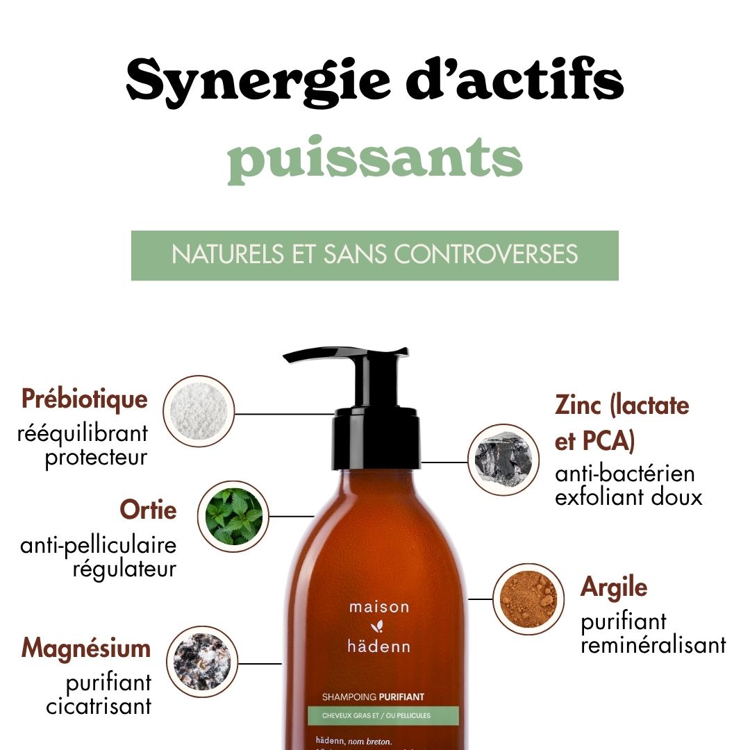 Shampoing PURIFIANT • [Anti-pelliculaire, rééquilibre, régule le sébum]-maison hädenn  image-4

